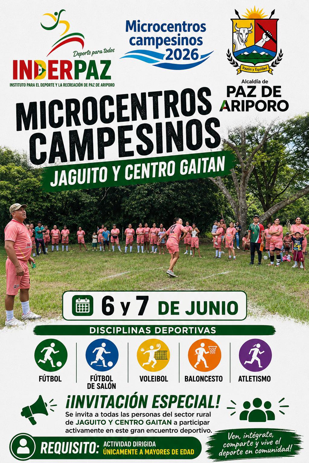 Microcentros Pza