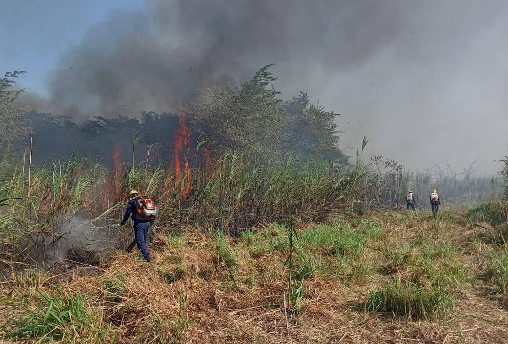 background-player-video