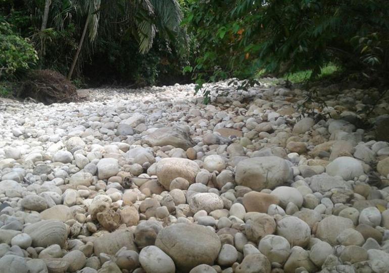 140 familias de área rural de Hato Corozal cumplen nueve días sin agua  