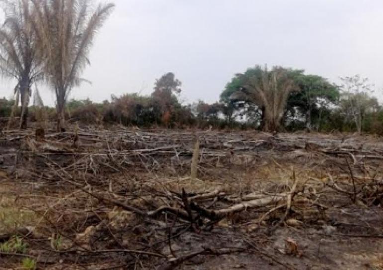 12 municipios de Casanare en alerta roja, más de 6 mil hectáreas de vegetación han sido quemadas
