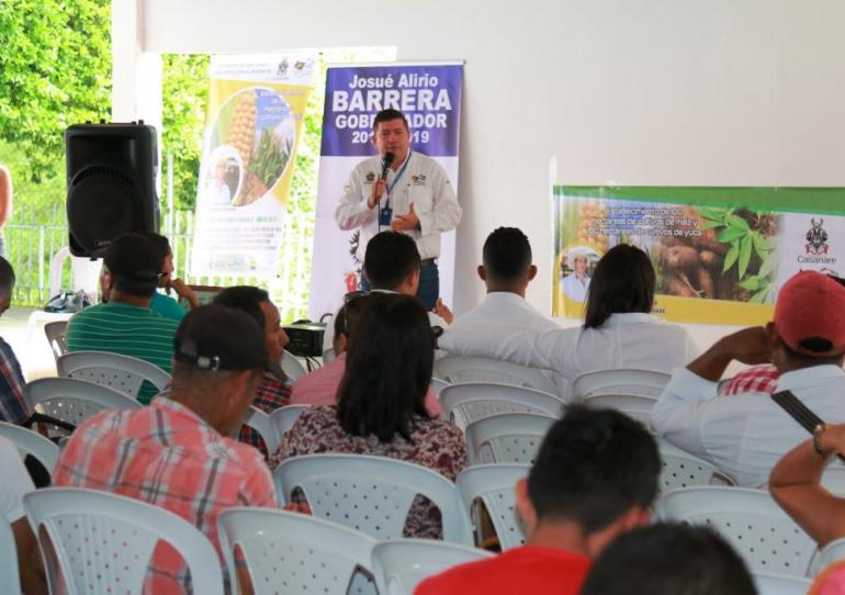 200 nuevas hectáreas de cultivos tradicionales se sembrarán en el Casanare