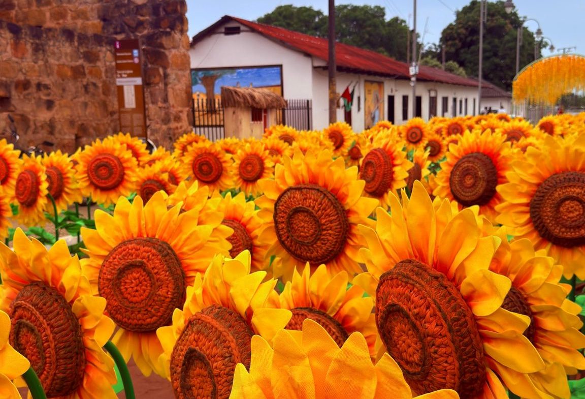 background-player-video