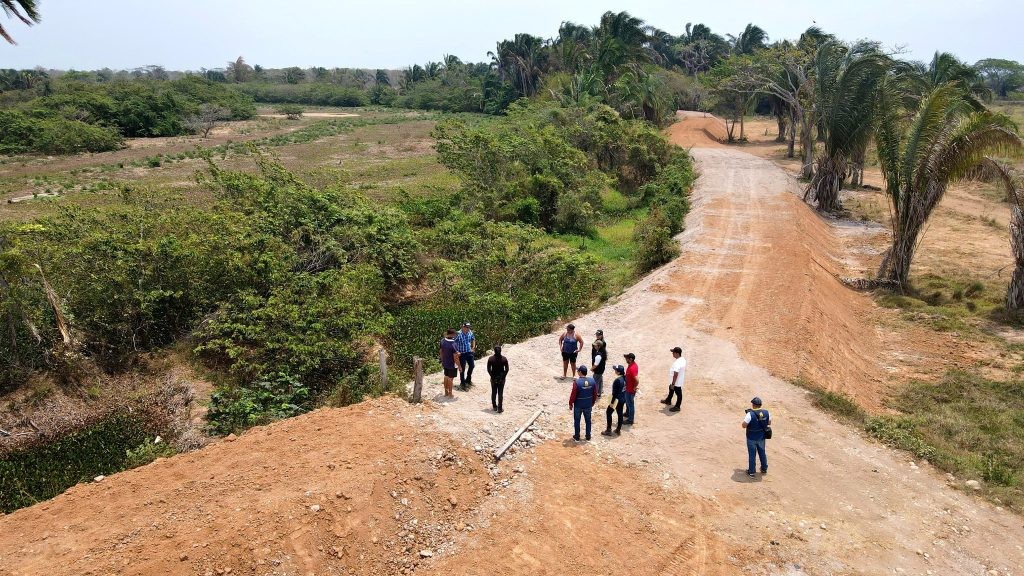 background-player-video