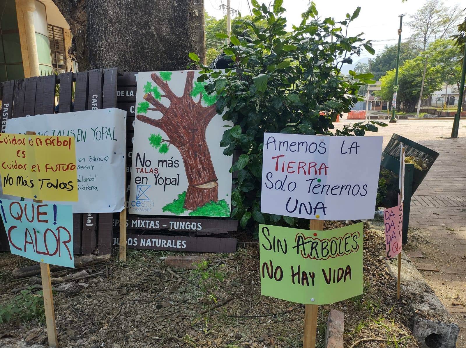 background-player-video