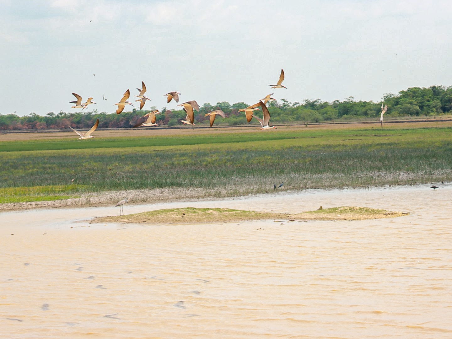 background-player-video