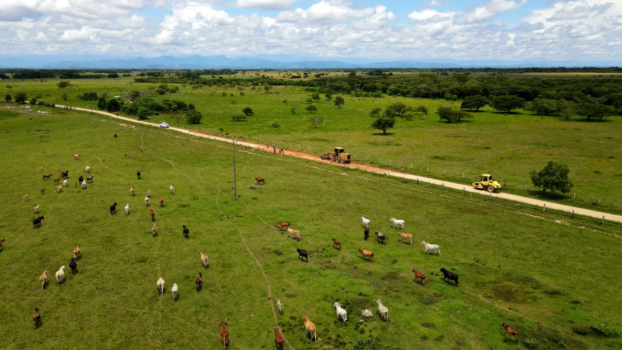 background-player-video