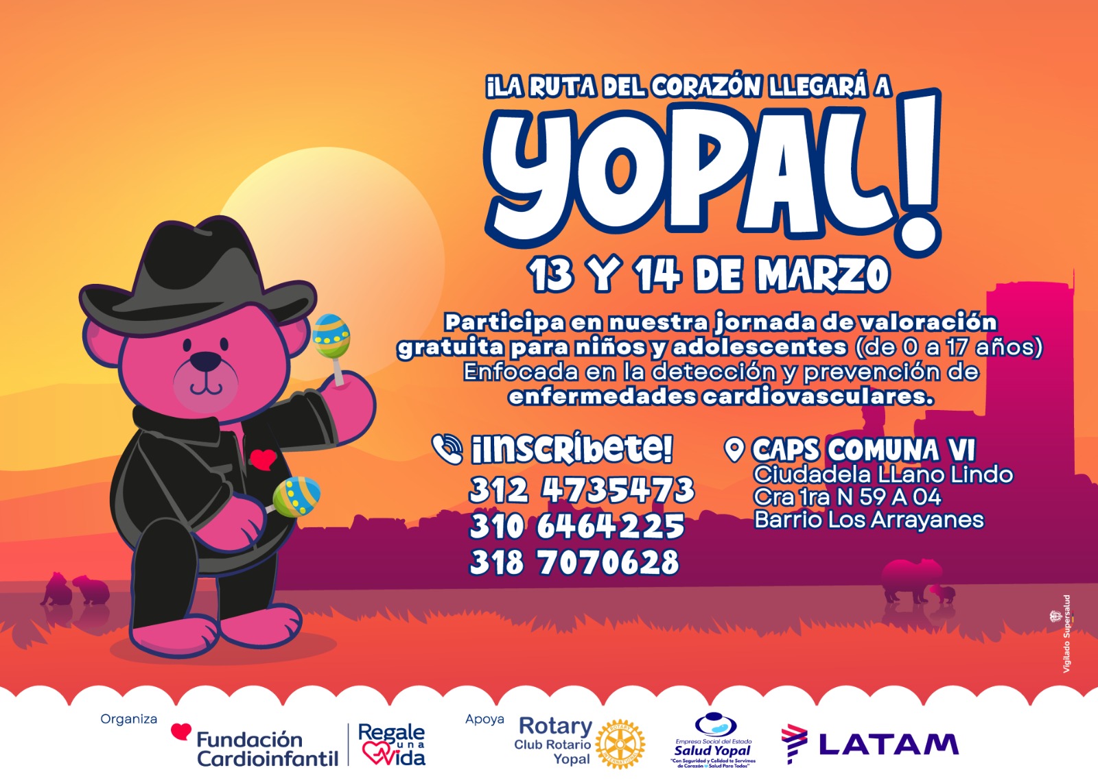 background-player-video