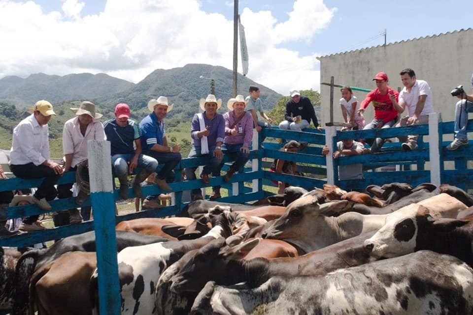 Incentivo de Capitalización Rural sigue vigente para los casanareños
