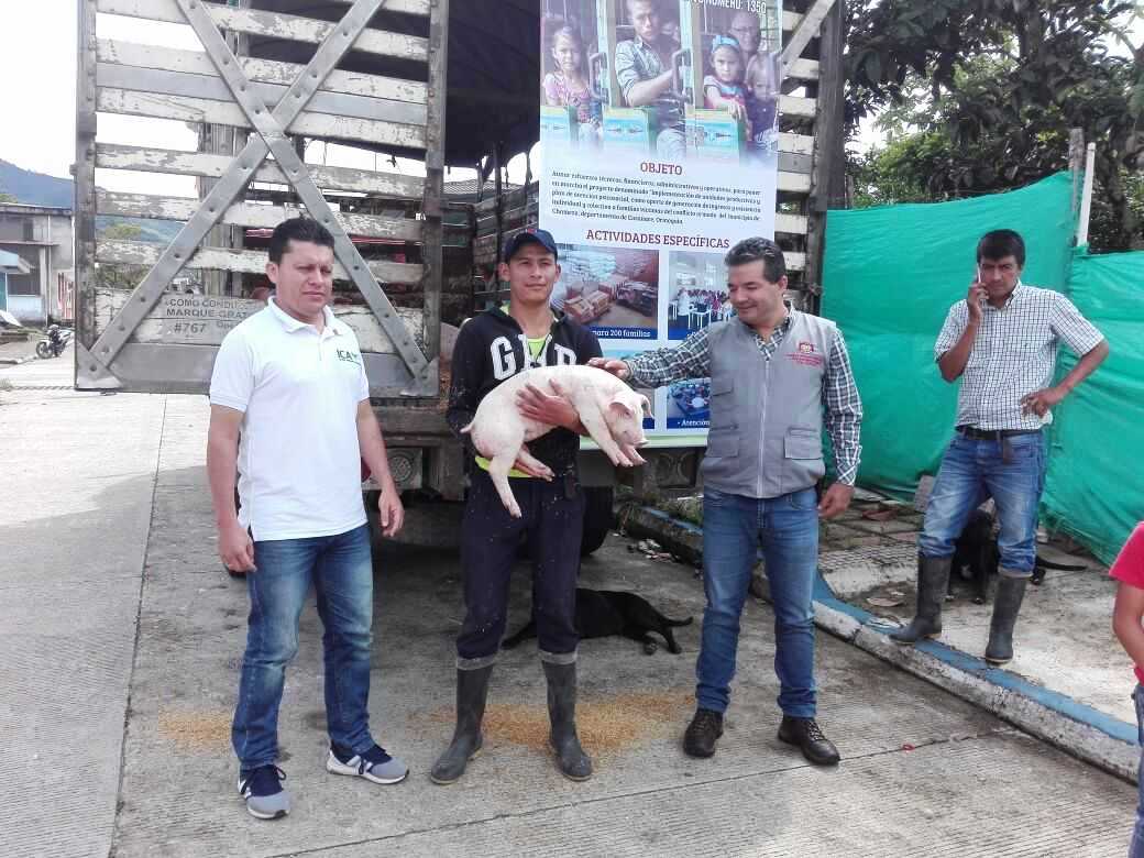 Unidades productivas fortalecen el emprendimiento de familias víctimas en Casanare