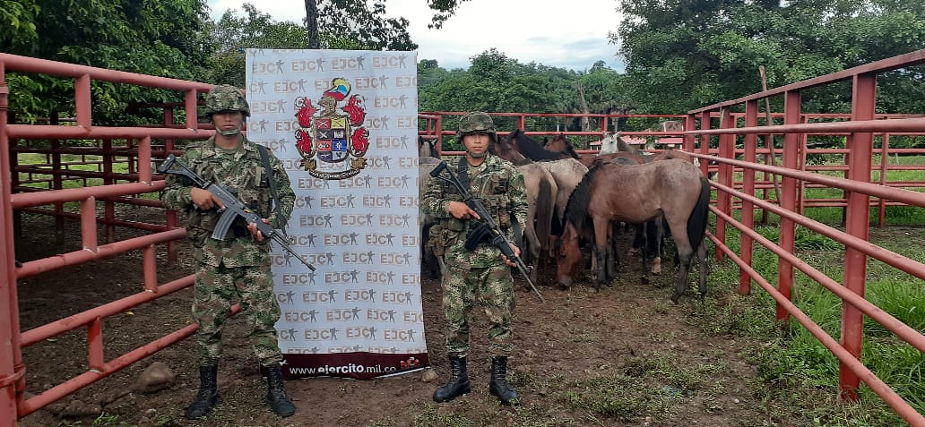Ejército Nacional y Policía incautan 22 equinos en Tame, Arauca