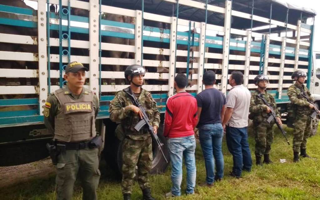 Autoridades lograron en las últimas horas la recuperación de 15 reses y la captura de tres personas