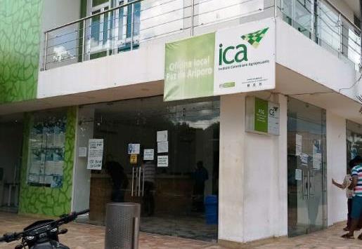 Con el fin de evitar aglomeraciones oficina del ICA en Paz de Ariporo empezará a asignar citas telefónicamente