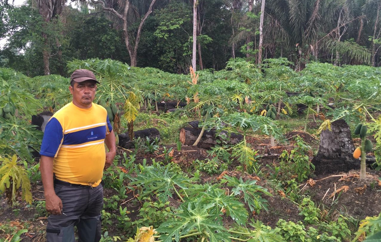 Alianzas Productivas, una alternativa del Gobierno Nacional para los productores del campo casanareño