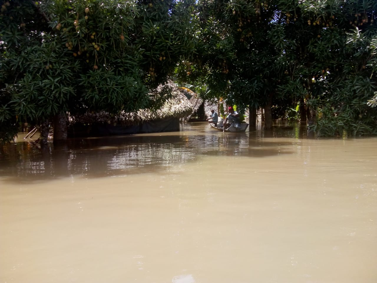 Emergencia por el desbordamiento de varios ríos en Casanare luego de fuertes lluvias del fin de semana