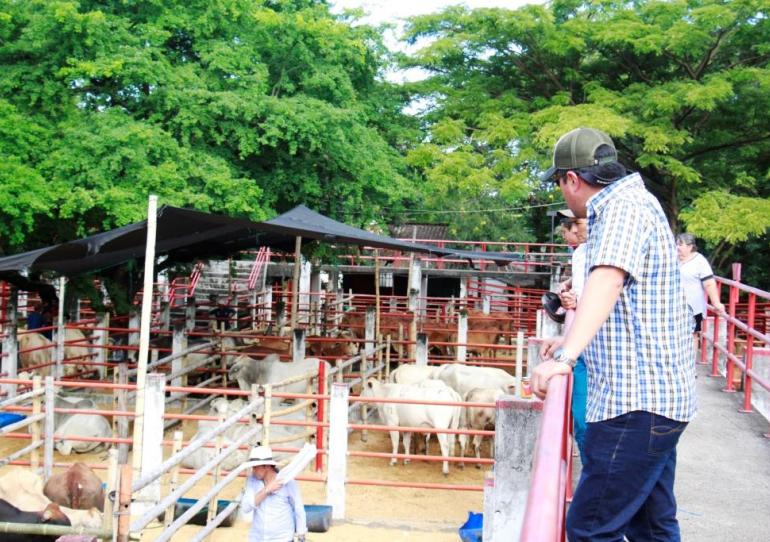 Comité Regional de Ganaderos de Yopal se ‘Puso el Overol’ en Expo Mercado