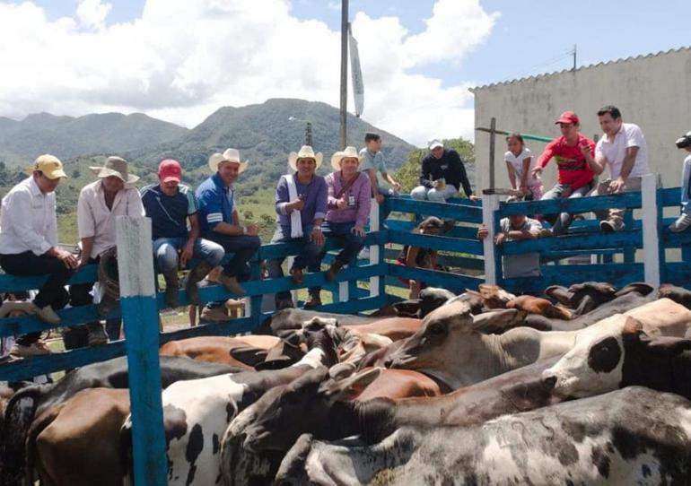 Incentivo de Capitalización Rural sigue vigente para los casanareños