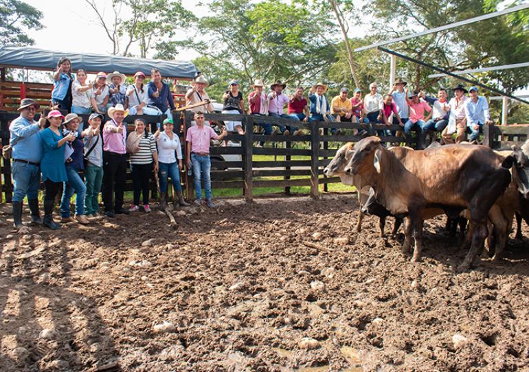 En Nunchía 25 familias ganaderas se benefician de una alianza productiva 