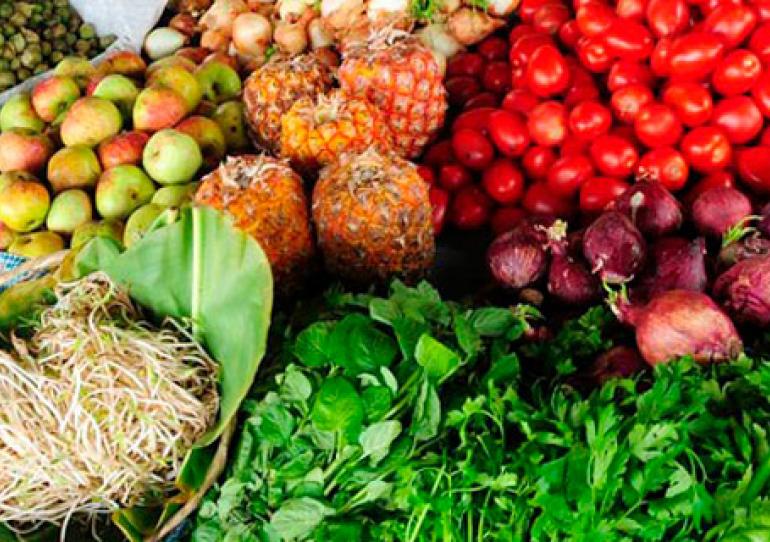 Inician socializaciones para la implementación de 400 unidades de seguridad alimentaria en Casanare