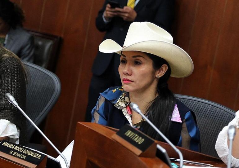 A Plenaria del Senado proyecto de ley que busca incentivar el regreso de los estudiantes y profesionales a Colombia