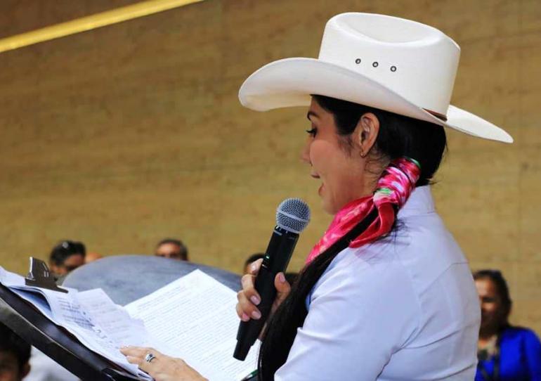 Senadora Amanda Rocío González propuso incrementar el uso de energías más limpias 