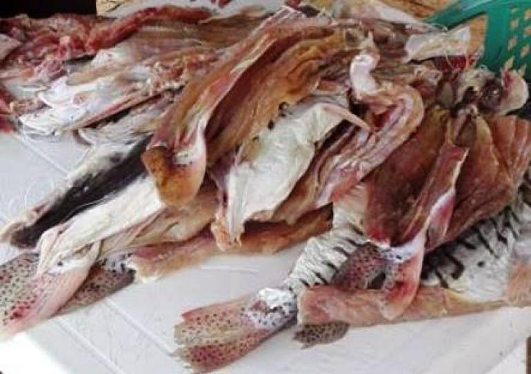 En Semana Santa aumenta el consumo de pescado, tenga en cuenta algunas recomendaciones