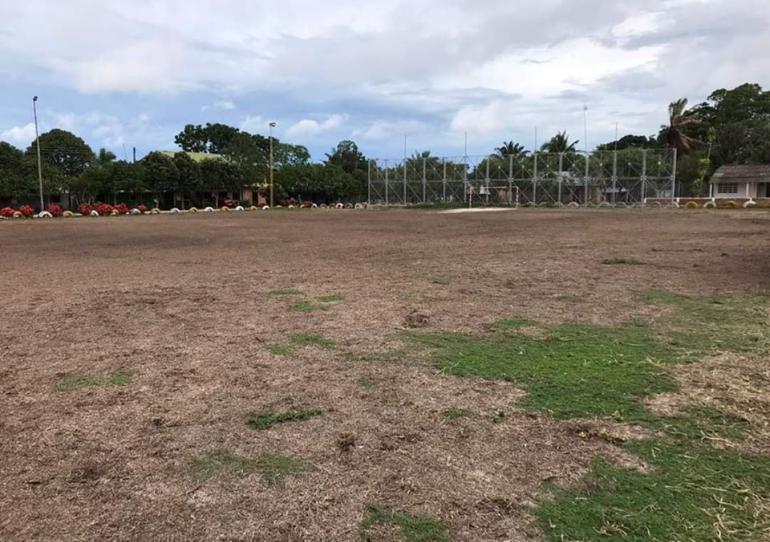 Como si se tratara de una de las 10 plagas, "Los Cocos" hacen estragos en Hato Corozal