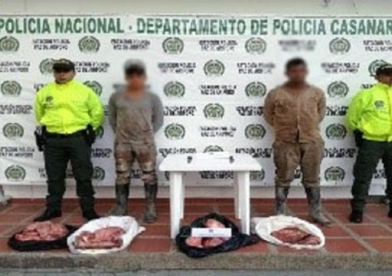 Dos capturas en Paz de Ariporo por el delito de hurto calificado en la modalidad de carneo 