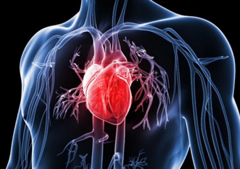 Personal de salud se capacitó en el análisis de electrocardiogramas y de cardiopatías derivado del Chagas