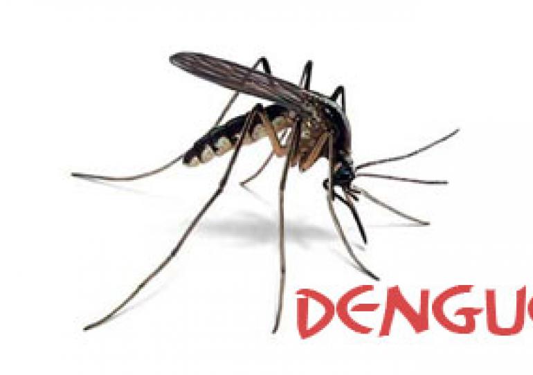Alarmante incremento de casos de dengue en Casanare en lo que va del 2019