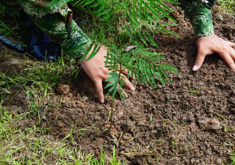 Ejército Nacional ha liderado importantes proyectos de protección y preservación del medio ambiente en 