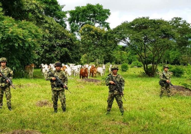 Operaciones del Ejército Nacional en el departamento de Casanare arrojaron importantes resultados