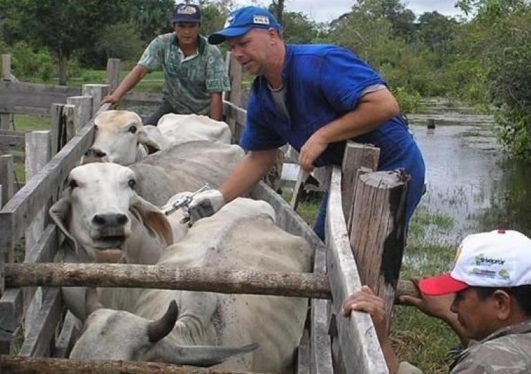 Abierta la convocatoria para la ejecución del I ciclo de vacunación contra fiebre aftosa y brucelosis bovina 2019