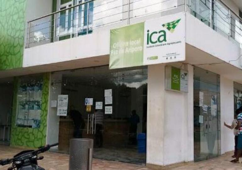  Con el fin de evitar aglomeraciones oficina del ICA en Paz de Ariporo empezará a asignar citas telefónicamente