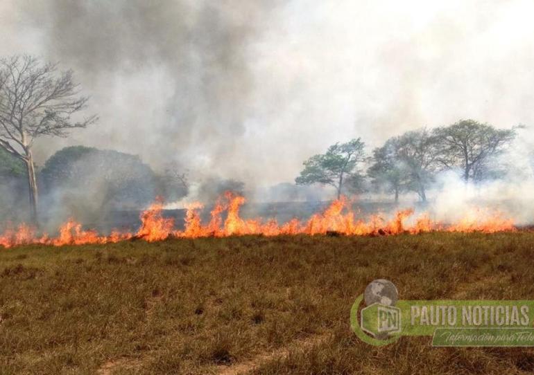 Fuerte incendio registrado el día de ayer en el municipio de Pore arrasó con más de 170 hectáreas