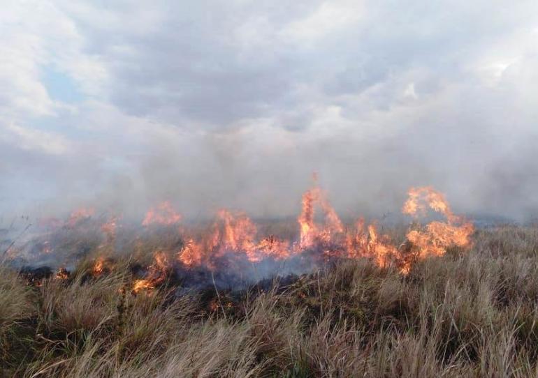 Alcaldía de Paz de Ariporo coordina actividades con el fin de controlar Incendio Forestal en la vereda Puerto Brasilia