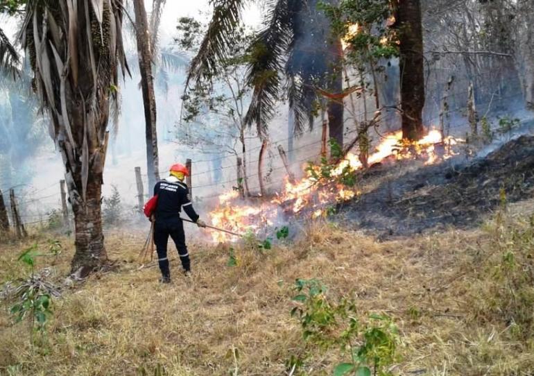 Más de 70 mil hectáreas afectadas por incendios forestales en Casanare