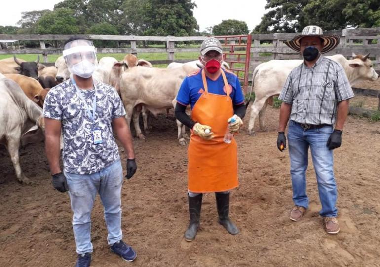 Secretaría de Agricultura Departamental monitorea cumplimiento de protocolos de bioseguridad del primer ciclo de vacunación