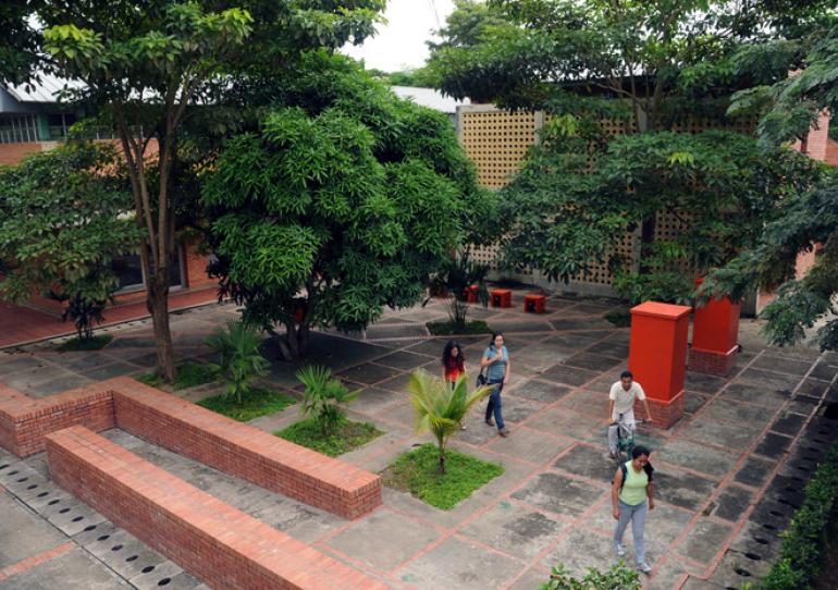 Universidad Nacional sede Orinoquía abrirá proceso de admisión a pregrado para el 2020-1 a partir del 15 de julio