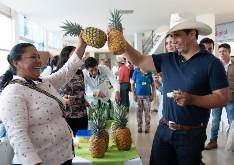 Este fin de semana gobernación de Casanare tiene dos eventos académicos para productores de piña y plátano 