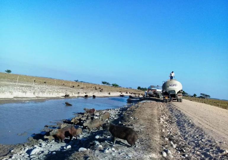 Gobernación envió otro carrotanque a Paz de Ariporo para afrontar sequía y muerte de animales