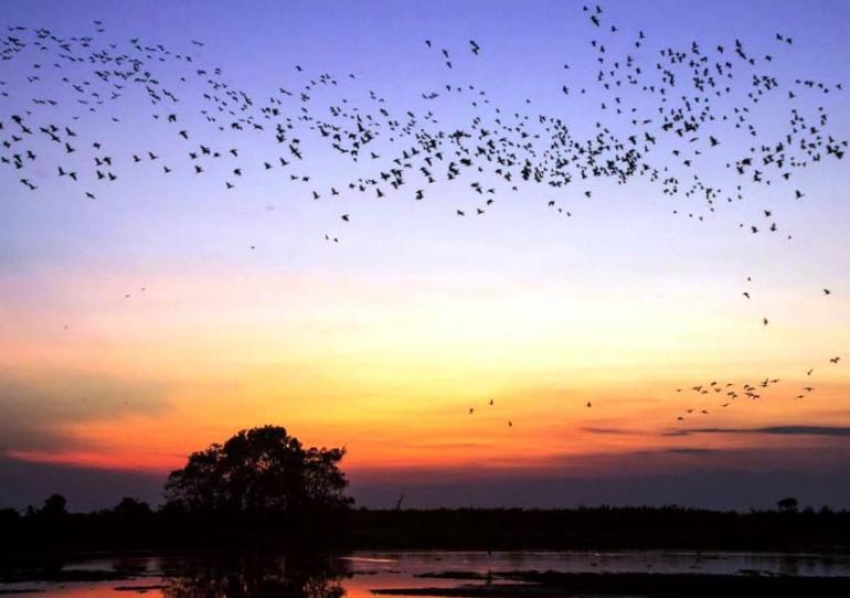 Se capacitaron a casanareños como guías de turismo natural con el fin de fortalecer el turismo en el departamento